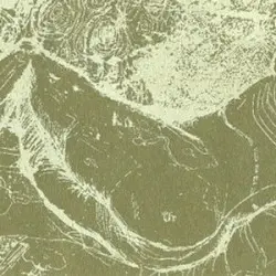 The Whys And Hows Of Herman Düne And Cerberus Shoal