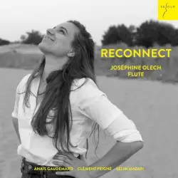 Reconnect – Nature and the Modern Man
