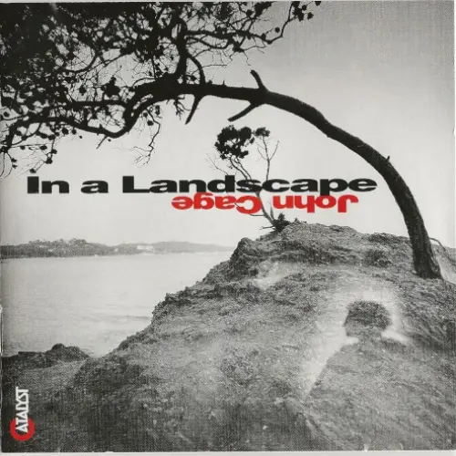 In a Landscape