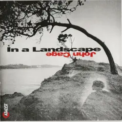 In a Landscape