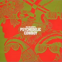 Psychedelic Cowboy