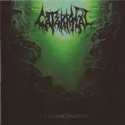 Fleshgrave