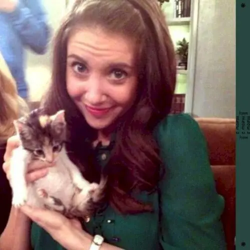 meow 2 (deluxe)