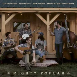 Mighty Poplar
