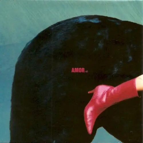 Amor
