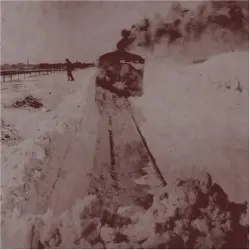 Out Into the Snow