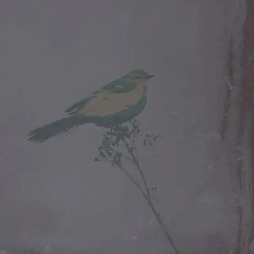 Time Lapse
