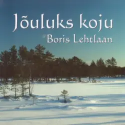 Jõuluks koju