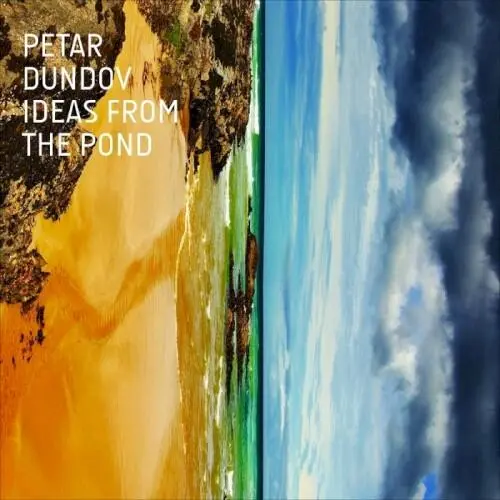 Ideas From the Pond