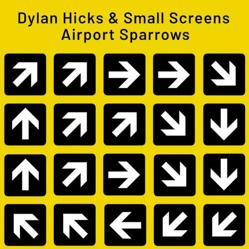 Airport Sparrows