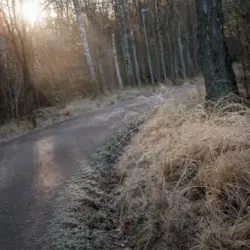 Baśjanss