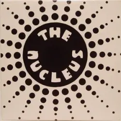 The Nucleus
