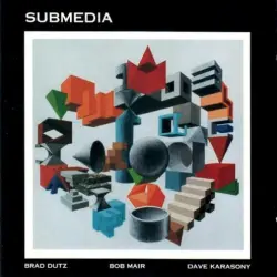 Submedia