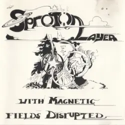 With Magnetic Fields Disrupted