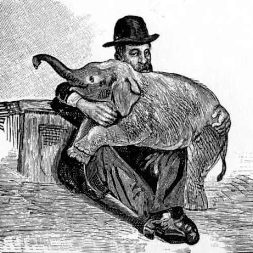 quelquechose II