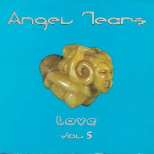 Angel Tears, Volume 5