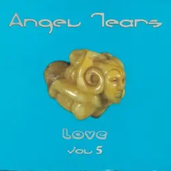 Angel Tears, Volume 5