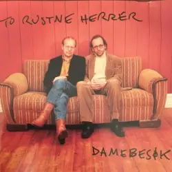 Damebesøk