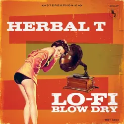 Lo-Fi Blow Dry