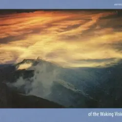 Of the Waking Vision