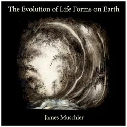 The Evolution of Life Forms on Earth