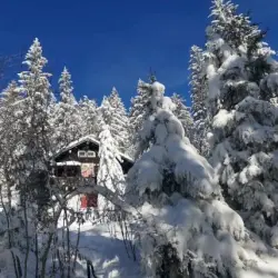 Snowblind