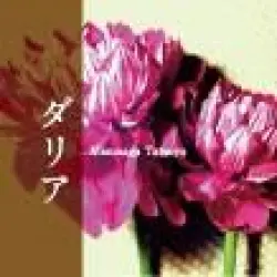 ダリア ダリア