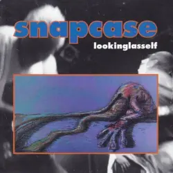 Lookinglasself