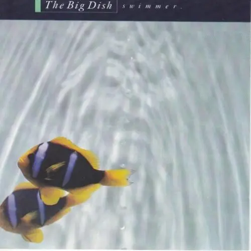 Swimmer