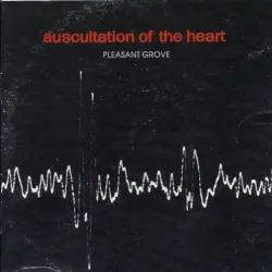 Auscultation of the Heart