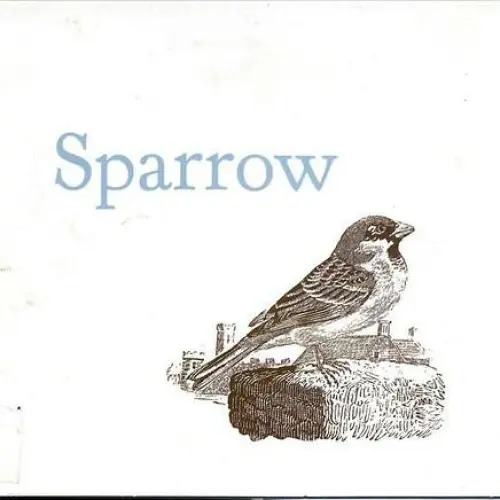 Sparrow