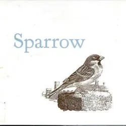 Sparrow