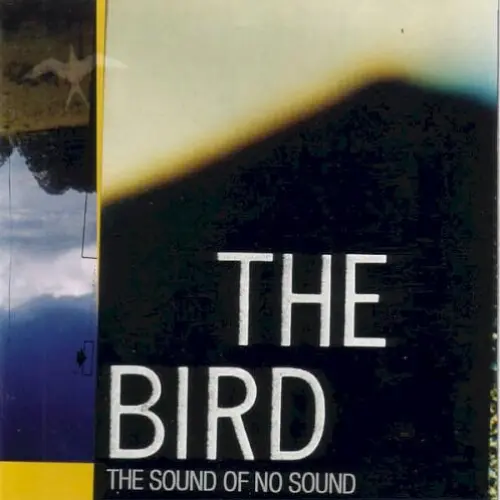 The Sound of No Sound
