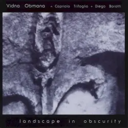 Landscape in Obscurity