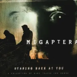 Staring Back at You