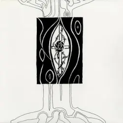 Rose/Thorn