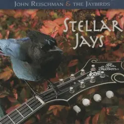 Stellar Jays