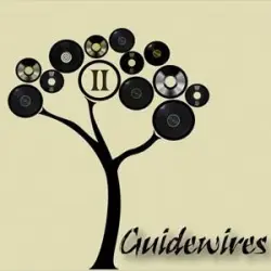 Guidewires II