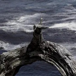 Eight Themes