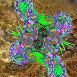 Hypermeditations