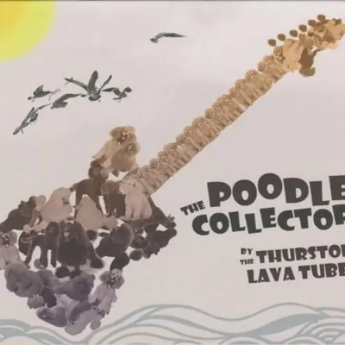 The Poodle Collector