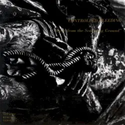 Music From the Scourging Ground