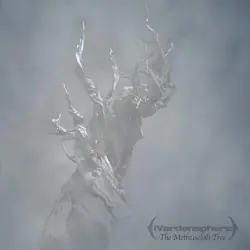 The Methuselah Tree