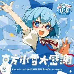 チルノのパーフェクトさんすう教室 ⑨周年記念コンピレーションアルバム 東方氷雪大感謝 チルノのパーフェクトさんすう教室 ⑨周年記念コンピレーションアルバム 東方氷雪大感謝