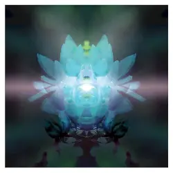 In Diamond Light