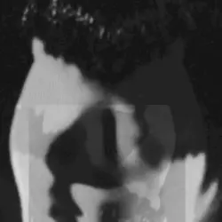 Faceless
