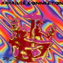 Paradise Connection