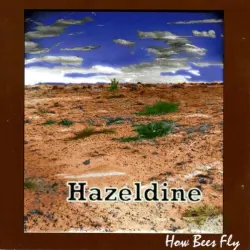 How Bees Fly