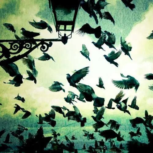 With Our Arms Wide Open We March Towards the Burning Sea