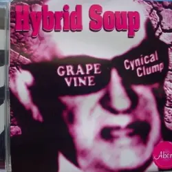 Hybrid Soup